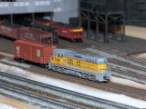 IMG_8279.jpg