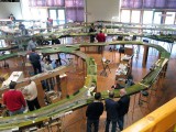 IMG_8282.jpg