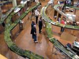 IMG_8286.jpg