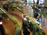 IMG_8289.jpg