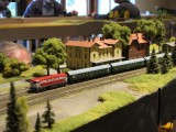 IMG_8350.jpg
