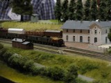 IMG_8360.jpg