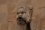 IMG_15380.JPG