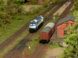 IMG_6273.JPG