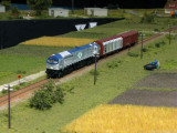 IMG_6312.JPG