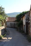 IMG_17249.JPG