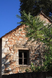 IMG_17250.JPG