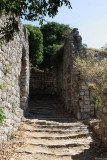 IMG_17629.JPG