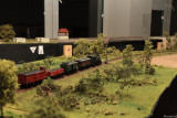 IMG_18153.JPG