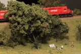 IMG_18183.JPG