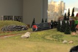 IMG_18196.JPG