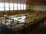DSCN1469.JPG