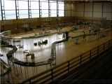 DSCN1471.JPG