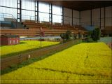 DSCN1475.JPG