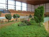DSCN1476.JPG
