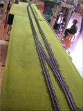 DSCN1539.JPG