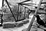 DSC_0007.jpg