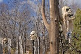 Pic040.jpg