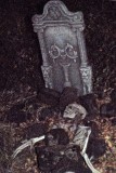 Pic401.jpg
