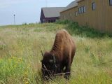 Prairie Day  059.jpg
