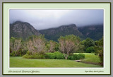 Kirstenbosch Botanical Gardens  (1114)
