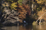 Fishing at River Bend