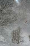 entre ciel et terre-2008.jpg
