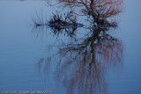 6-Printemps Rivire Richelieu.jpg
