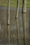12-Inondation.jpg