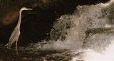 MO_Grande attente-9550-
