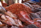 Fish market / Essaouira / Morocco