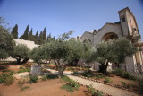 Church of All Nations / Garden of Gethsamane / Jerusalem