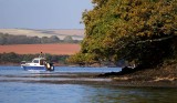 Salcombe - along the riverbank.jpg