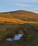 Towards Yes Tor.