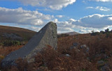 Rock and Bracken Belstone Taw Marsh