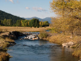 By Natures Brush