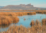 Part of the Pacific Flyway Reserve