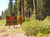 11. Smokey Bear & Summer Wildfires