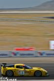 Corvette Racing C6.R down the front straight