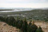 Lepe, Hampshire