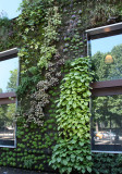 Quai Branly Museum, Paris