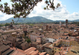 Guinigi Tower, Lucca