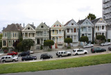 Painted Ladies