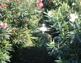 Santa Clotilde Gardens, Lloret de Mar