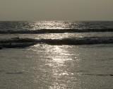 DSCF1969_1.jpg