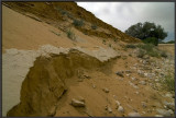 Dunes in Nachal Lavan (White River)