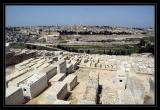 Mt. of Olives graveyard