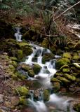 Rocky Run
