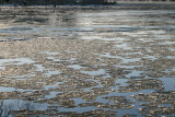 Ice floats down the river