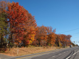 Near Clarksburg High School